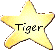 Tiger's Stern